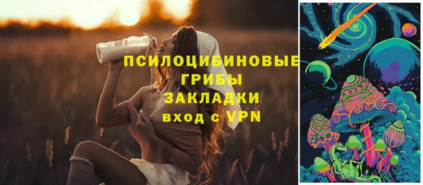 соль ск Абдулино